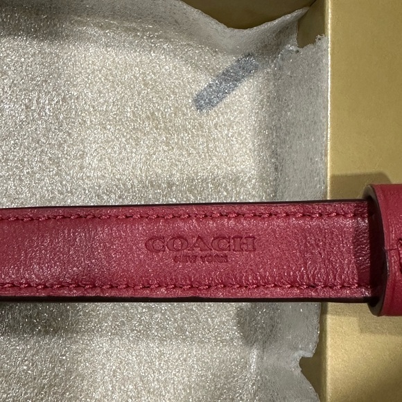 COACH PET DOG COLLAR AND LEASH set brown black red apple New Pretty last set - Picture 7 of 16